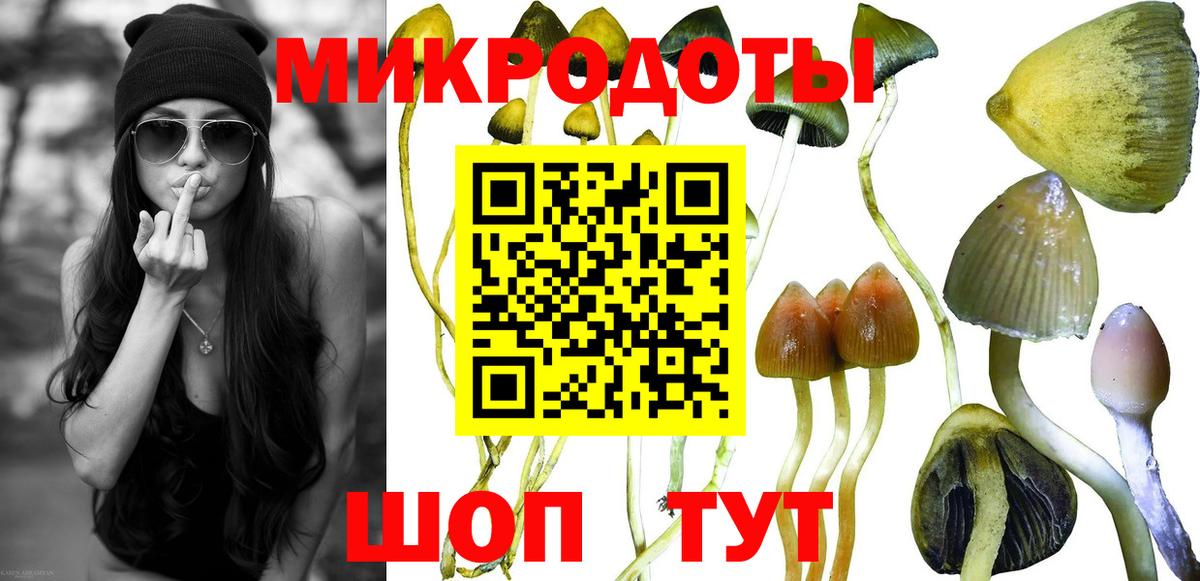 Галлюциногенные грибы MAGIC MUSHROOMS Домодедово